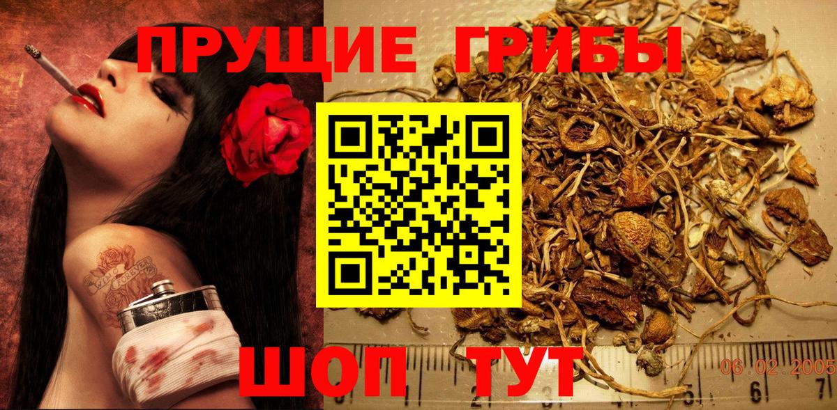 Калуга  Галлюциногенные грибы Magic Shrooms  Вход с VPN  Псилоцибиновые грибы мицелий 